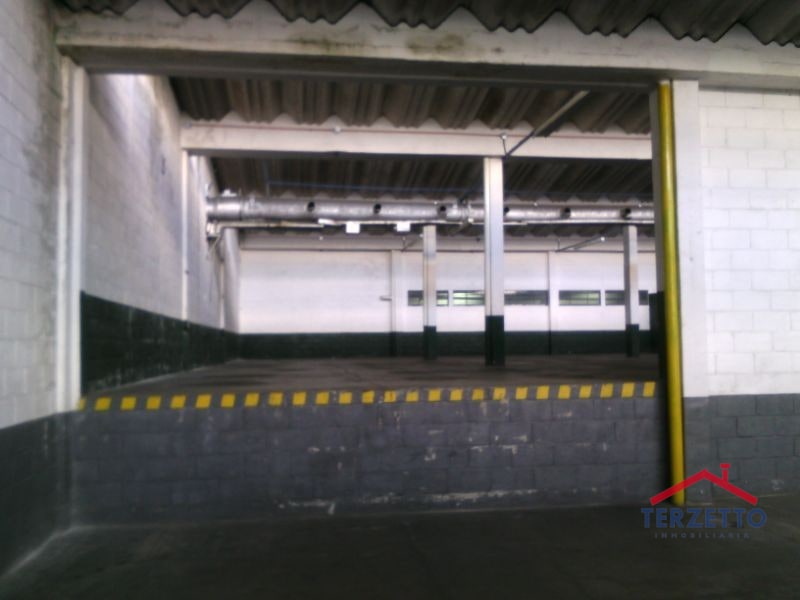 Bodega Zona 12 - 5