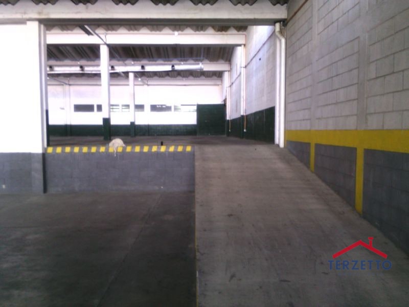 Bodega Zona 12 - 6