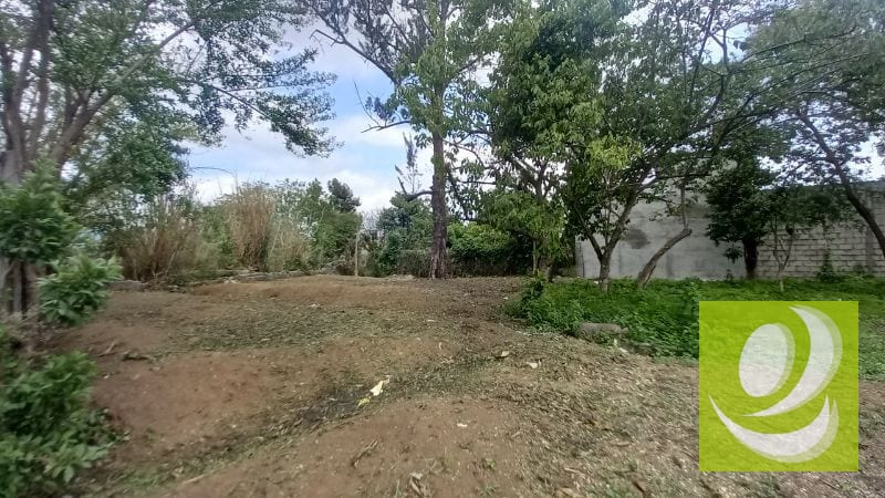 EN VENTA TERRENO IDEAL PARA INDUSTRIA EN SAN JOSE VILLA NUEVA — Bodega / Ofibodega en Venta en Villa Nueva, Guatemala, Ciudad — foto 6 de 8