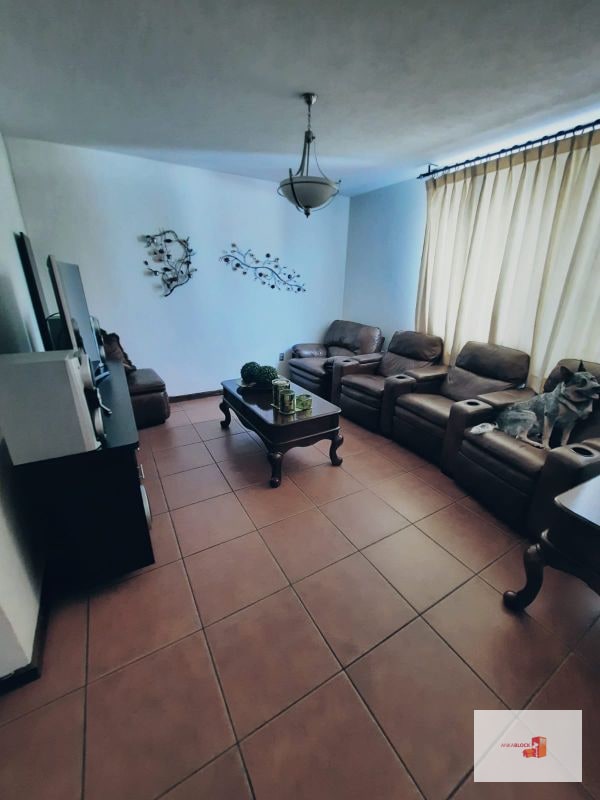 Casa uso residencia, oficina o incluso bodega Col.Trinidad - 5